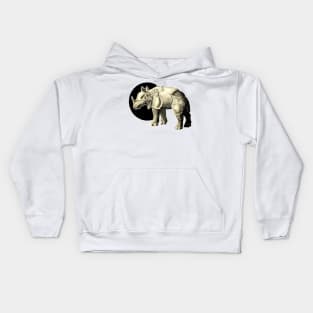 Armored Rhinoceros Kids Hoodie